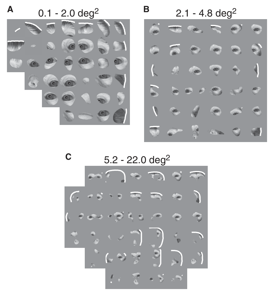 Paper 309 · fig-4