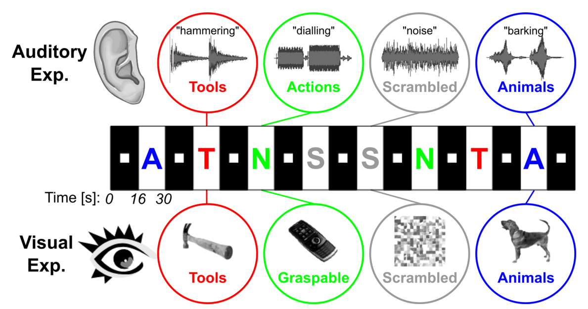 Paper 311 · fig-1