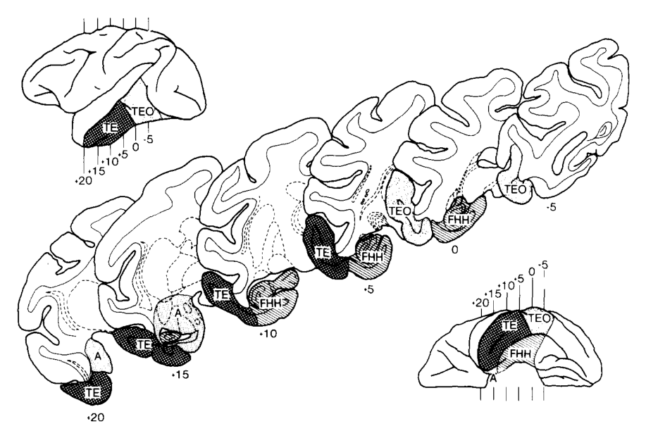 Paper 312 · fig-1