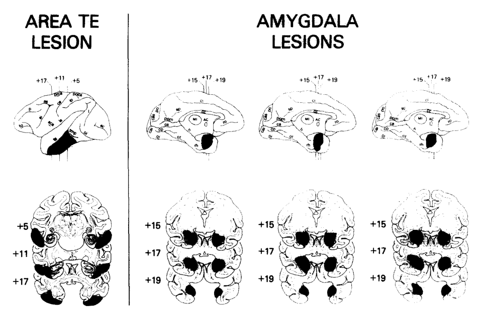 Paper 312 · fig-2