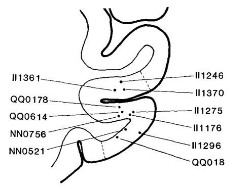 Paper 315 · fig-9