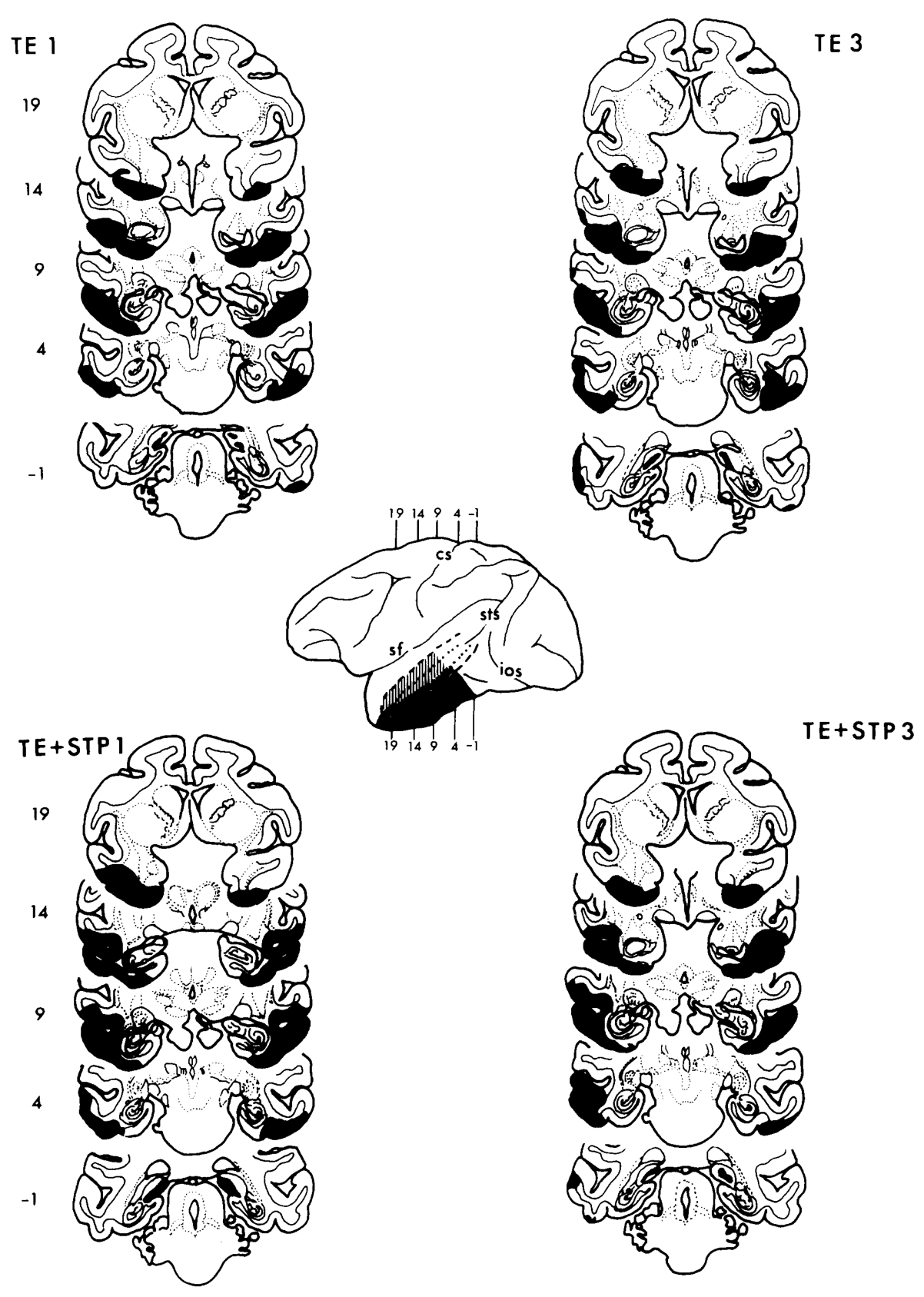 Paper 316 · fig-1