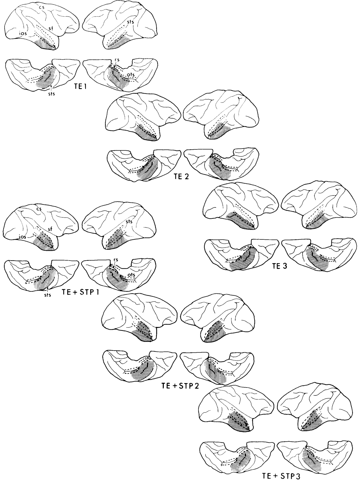 Paper 316 · fig-2