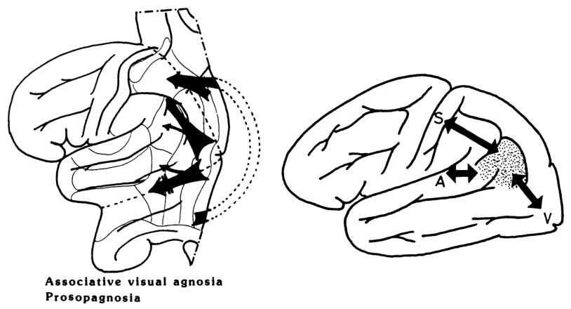 Paper 317 · fig-18