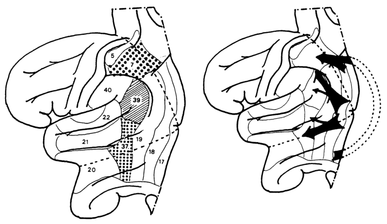 Paper 317 · fig-2
