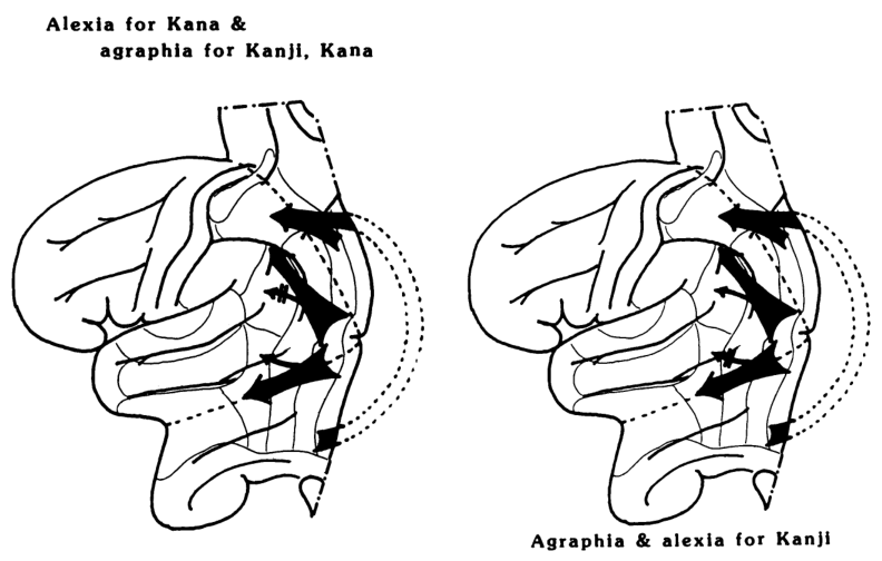 Paper 317 · fig-22