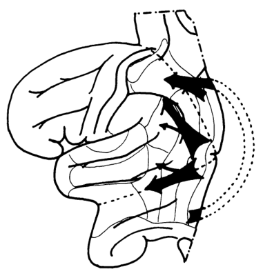 Paper 317 · fig-3