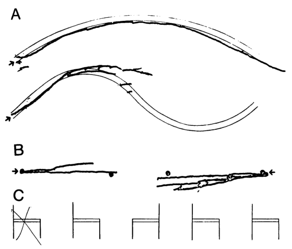 Paper 317 · fig-5