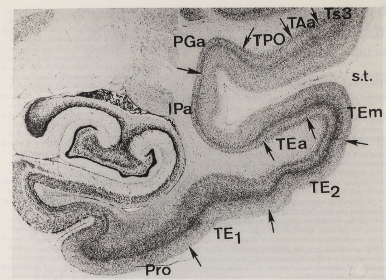 Paper 320 · fig-1