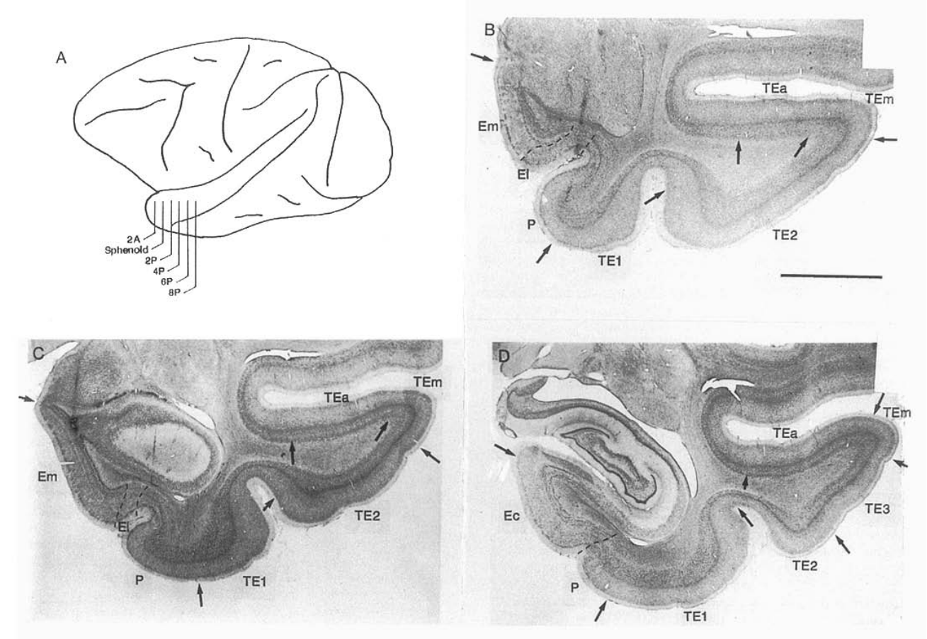 Paper 322 · fig-1