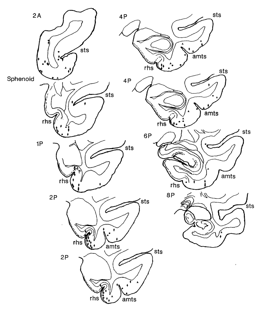 Paper 322 · fig-4