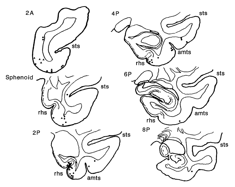 Paper 322 · fig-6