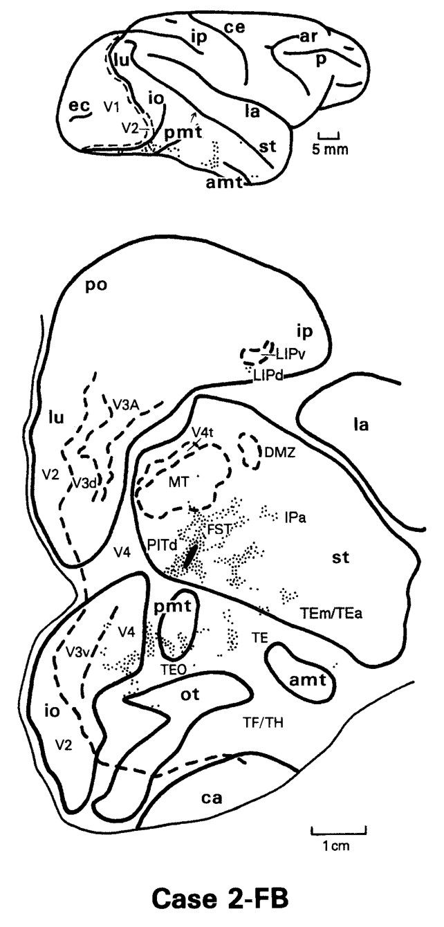 Paper 326 · fig-13