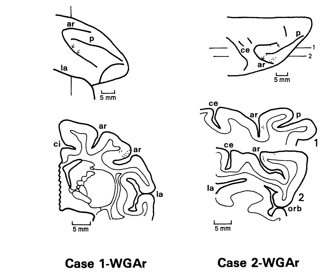 Paper 326 · fig-14