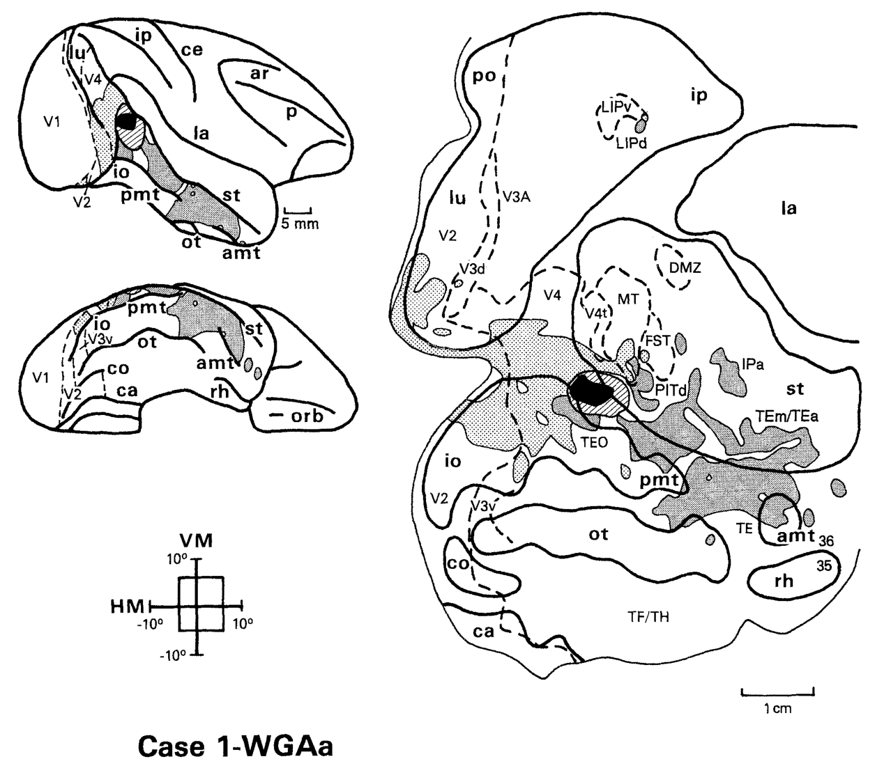 Paper 326 · fig-5