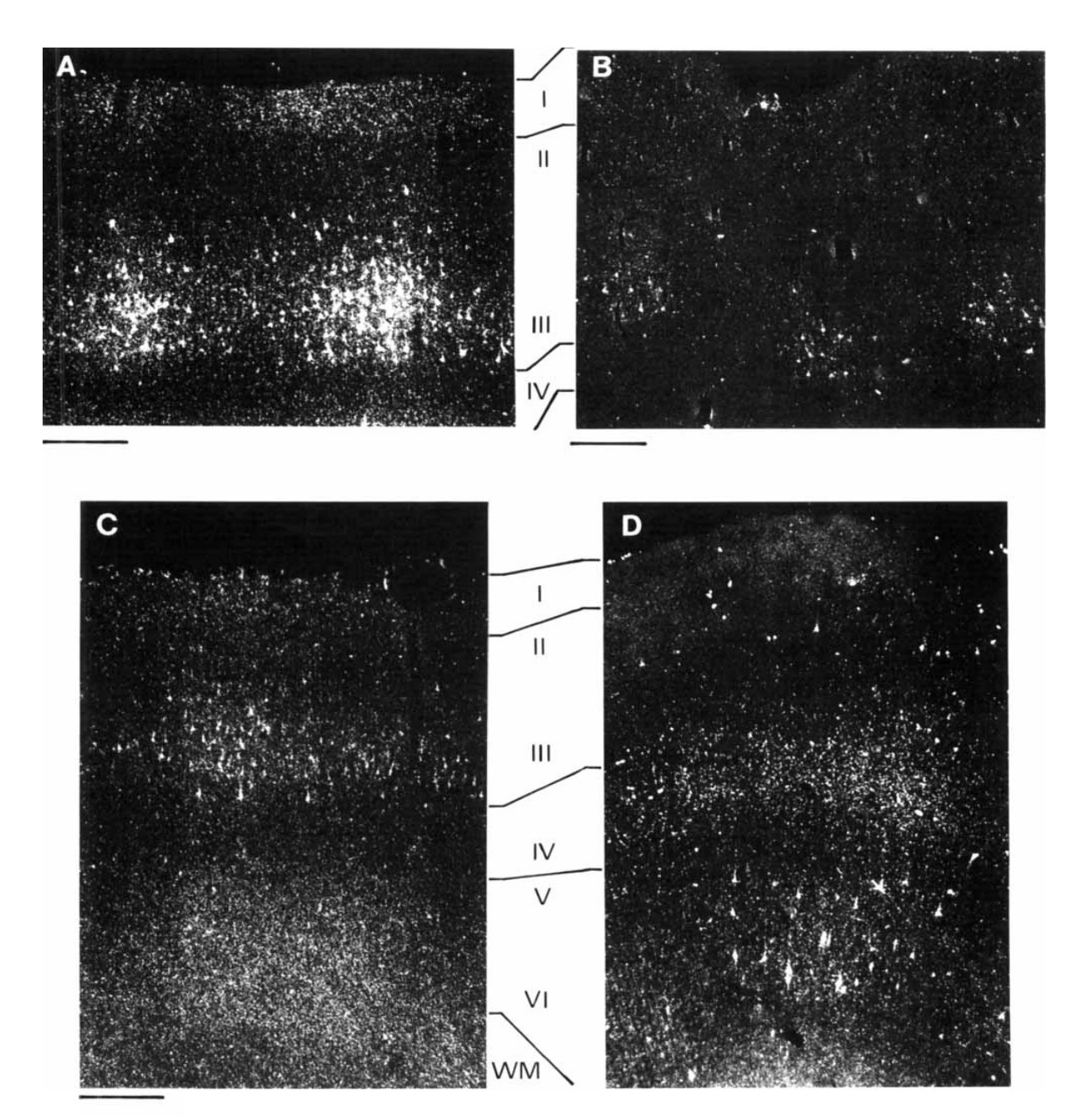 Paper 326 · fig-6