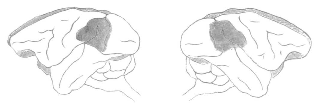 Paper 327 · fig-1