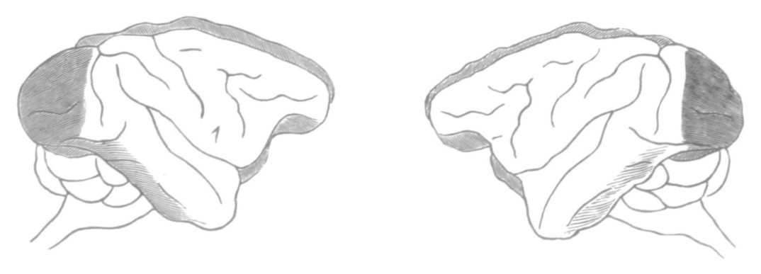 Paper 327 · fig-2