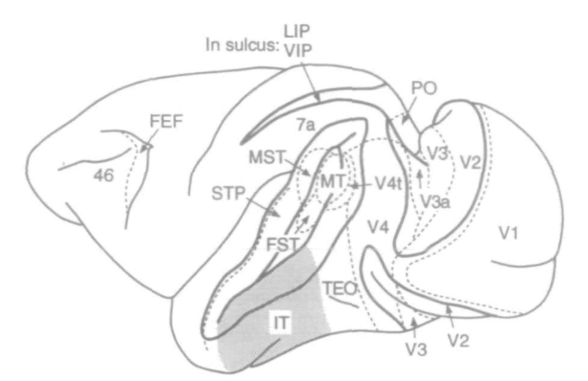 Paper 329 · fig-1