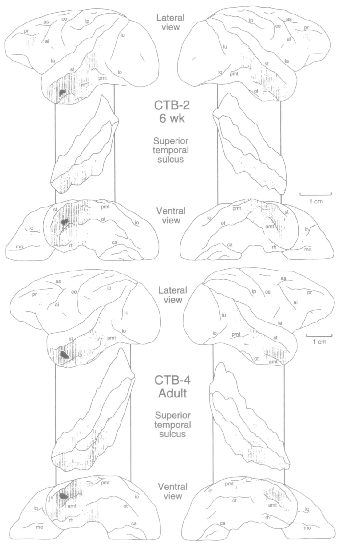 Paper 329 · fig-7