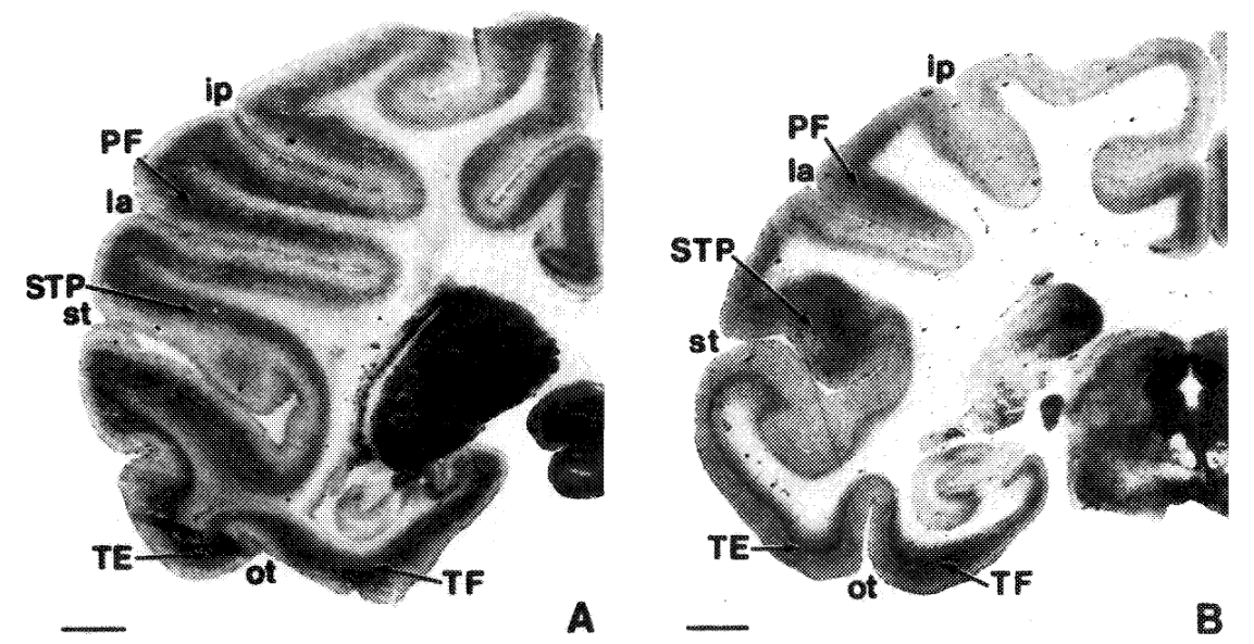 Paper 331 · fig-3