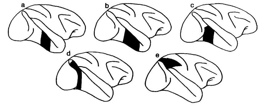 Paper 336 · fig-3