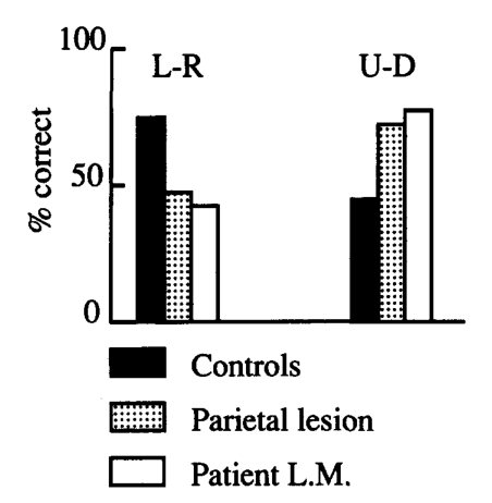 Paper 336 · fig-7
