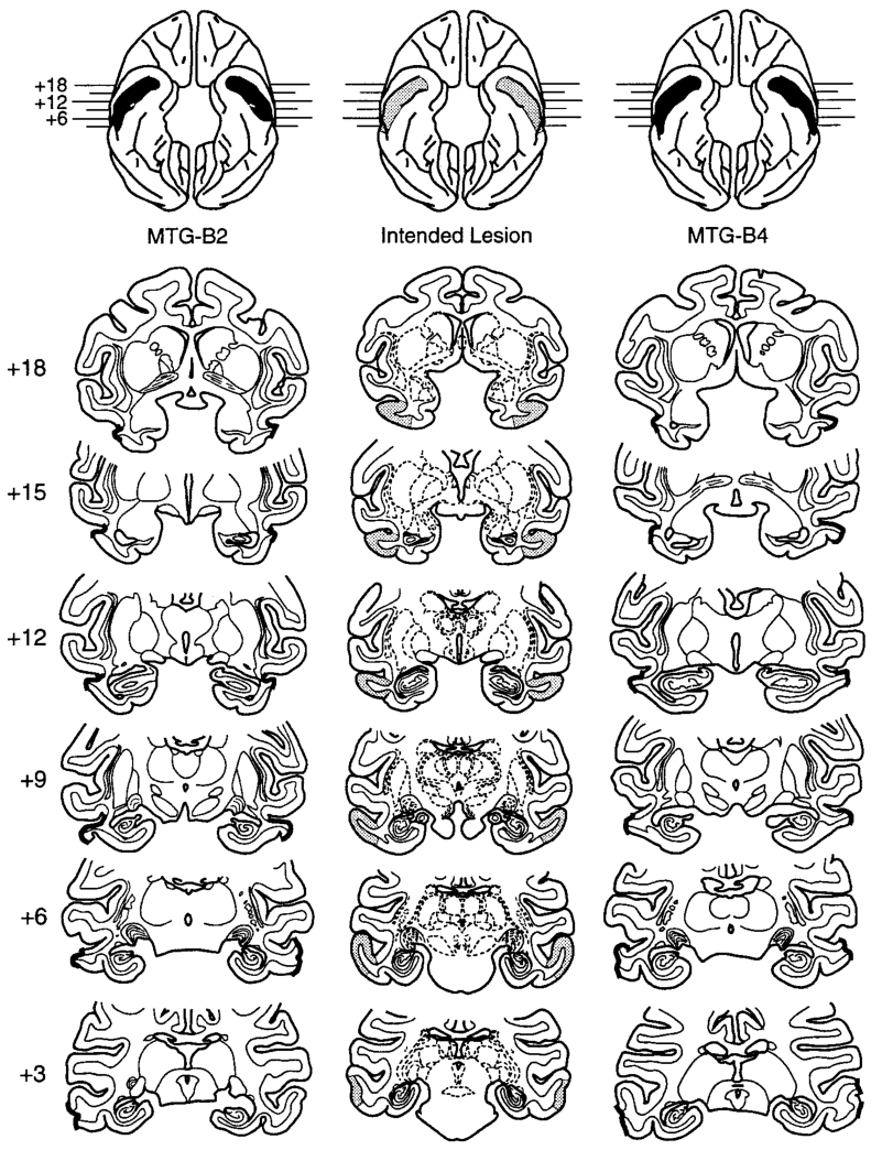 Paper 338 · fig-3