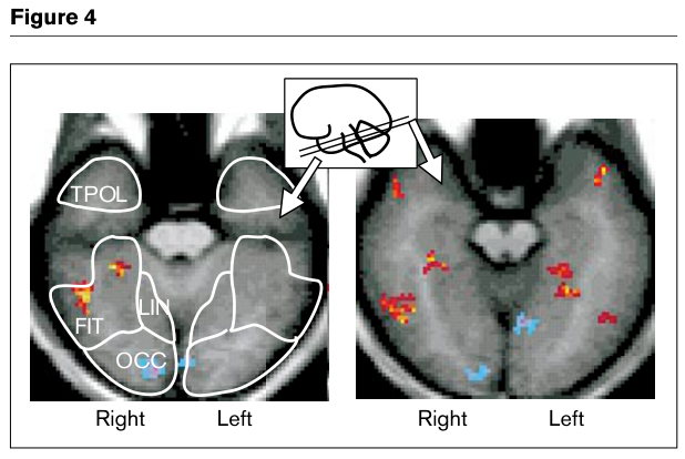 Paper 340 · fig-4