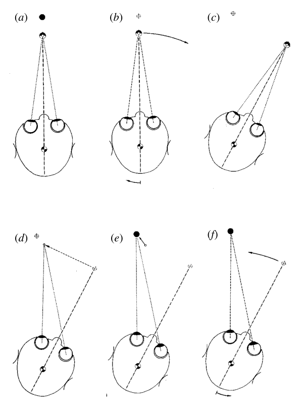 Paper 342 · fig-2
