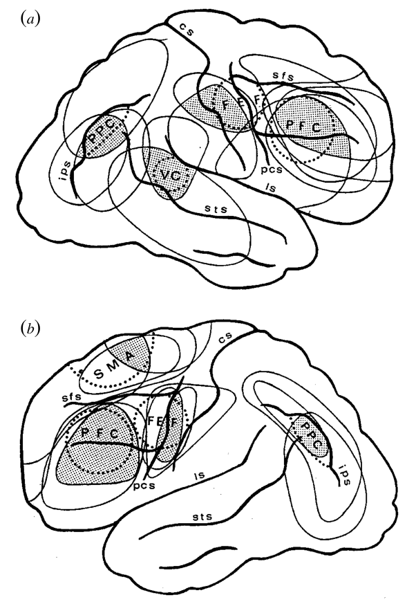 Paper 342 · fig-4